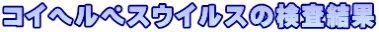 RCwyXECX̌