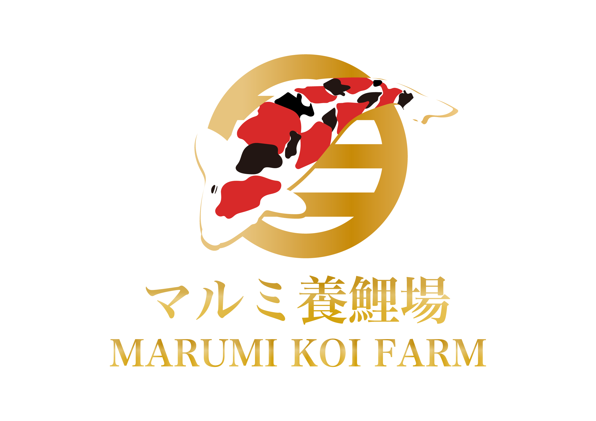 錦鯉のマルミ養鯉場