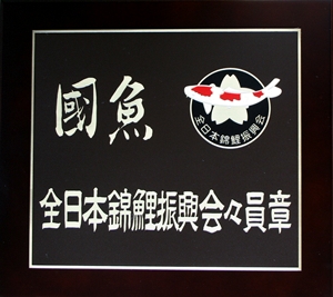 錦鯉飼育士認定店